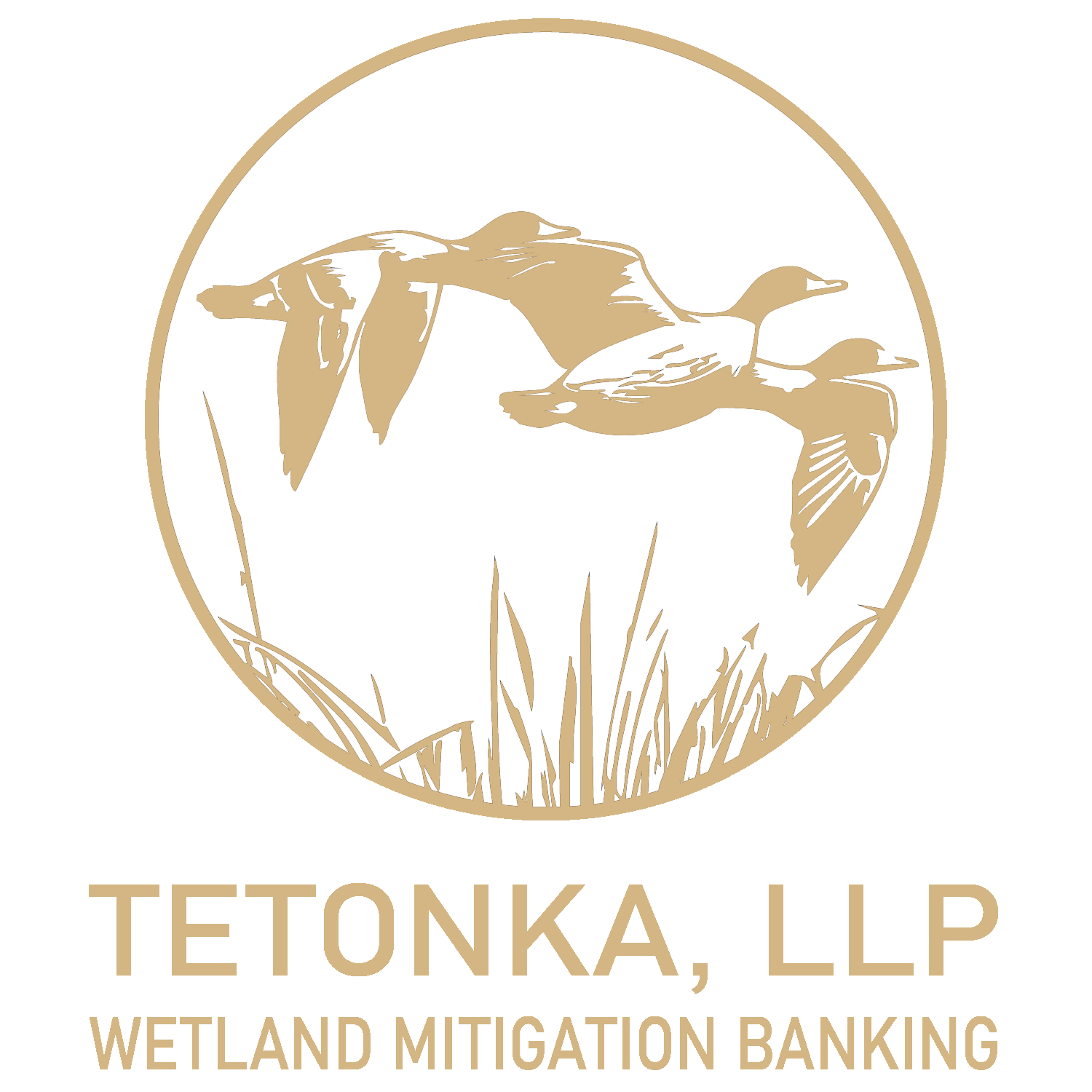 Tetonka, LLC