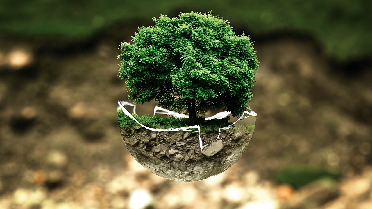 environmental-protection Environmental